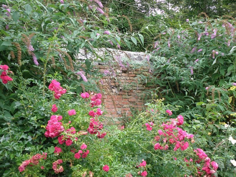 20100802b Verwaarloosde Kitchen garden.JPG